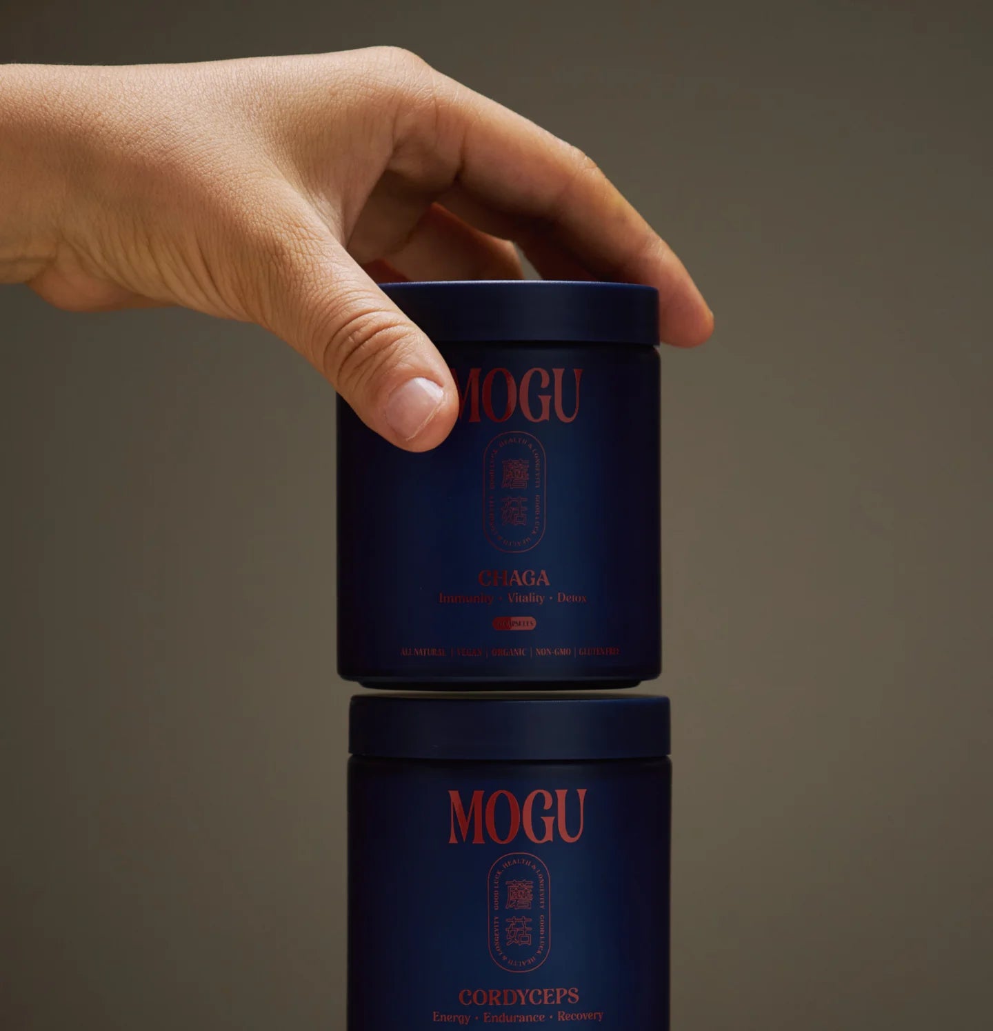 Hand holding MOGU Chaga capsules product with a dark background
