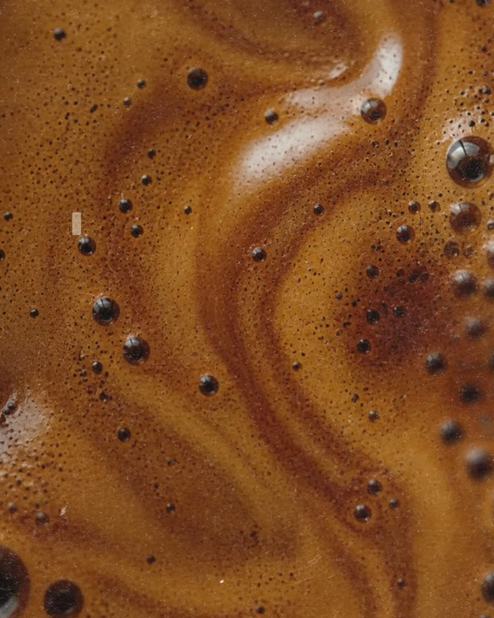 Coffea arabica