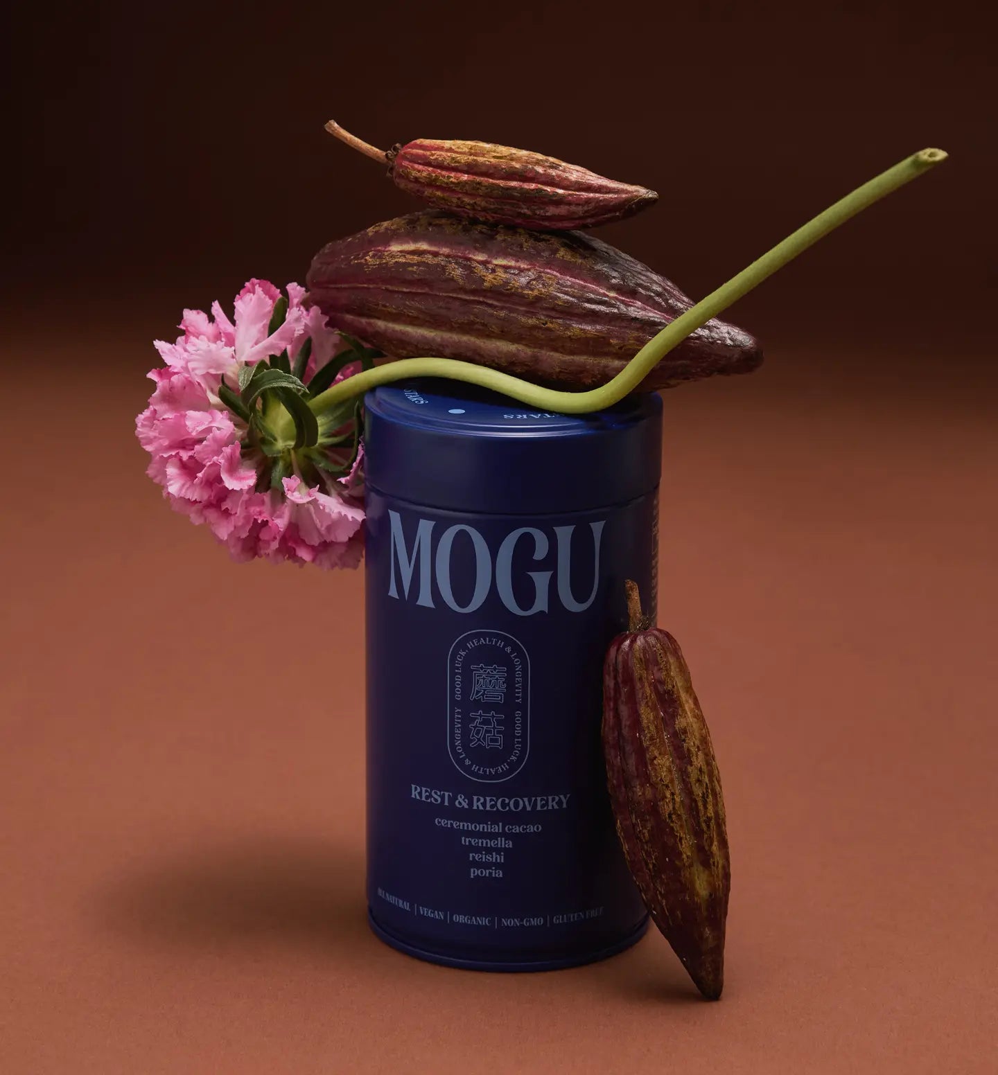 Mushroom Cacao