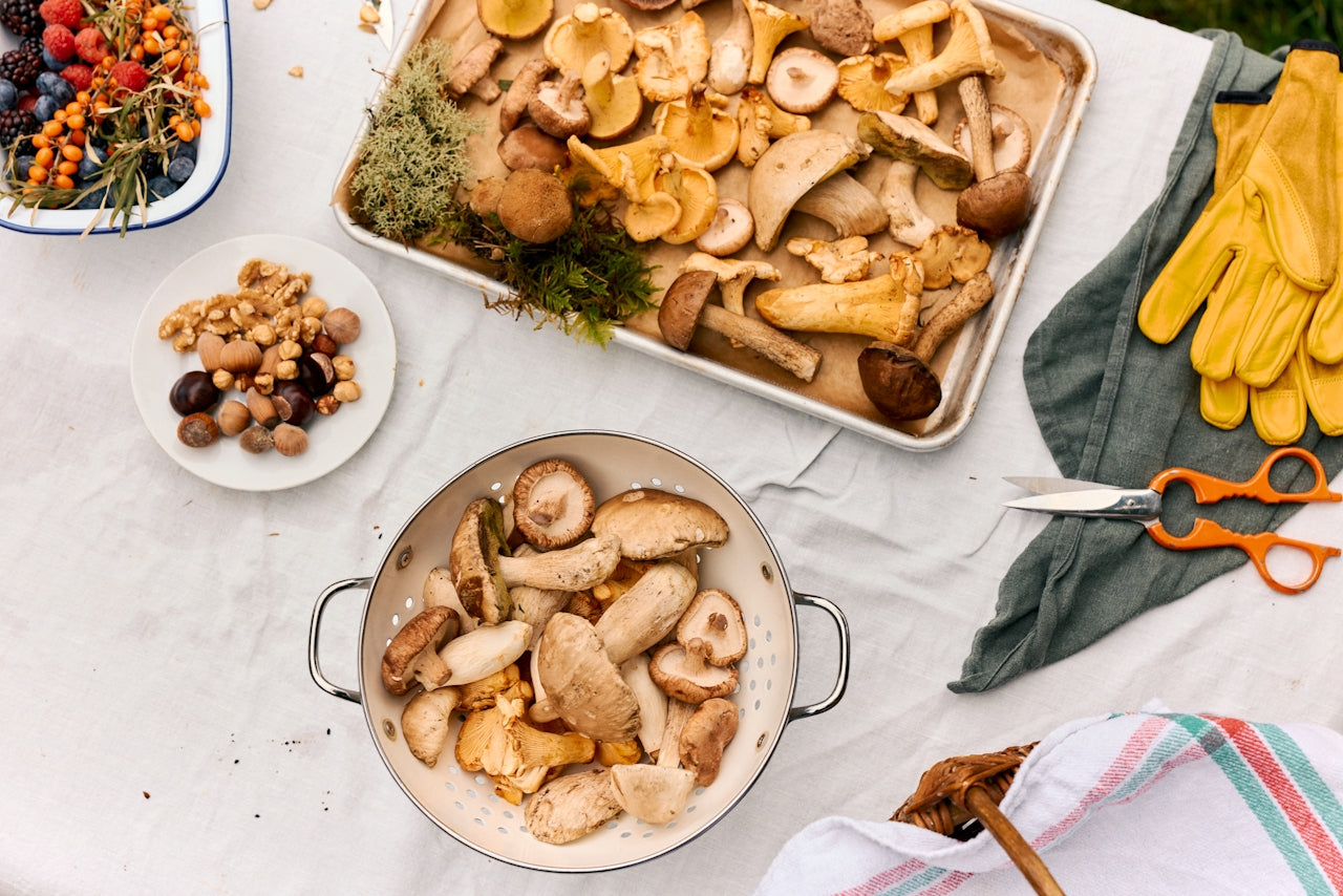 A white tablecloth covered with assorted wild mushrooms, nuts, berries, and foraging tools, including scissors and gloves—capturing a rustic harvest scene.