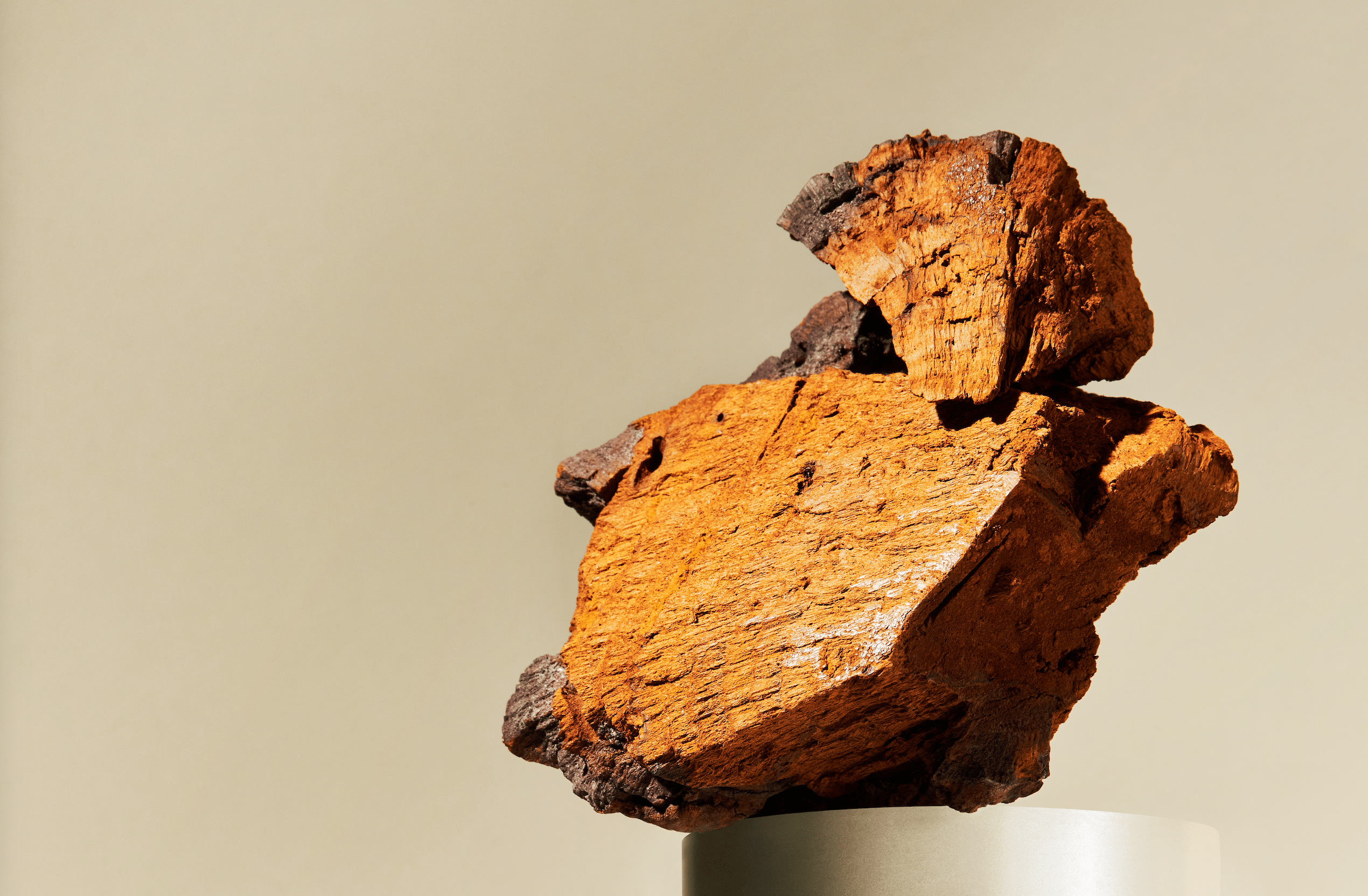 Close-up of a raw Chaga mushroom chunk with a rugged, woody texture, placed on a neutral pedestal against a soft beige background.