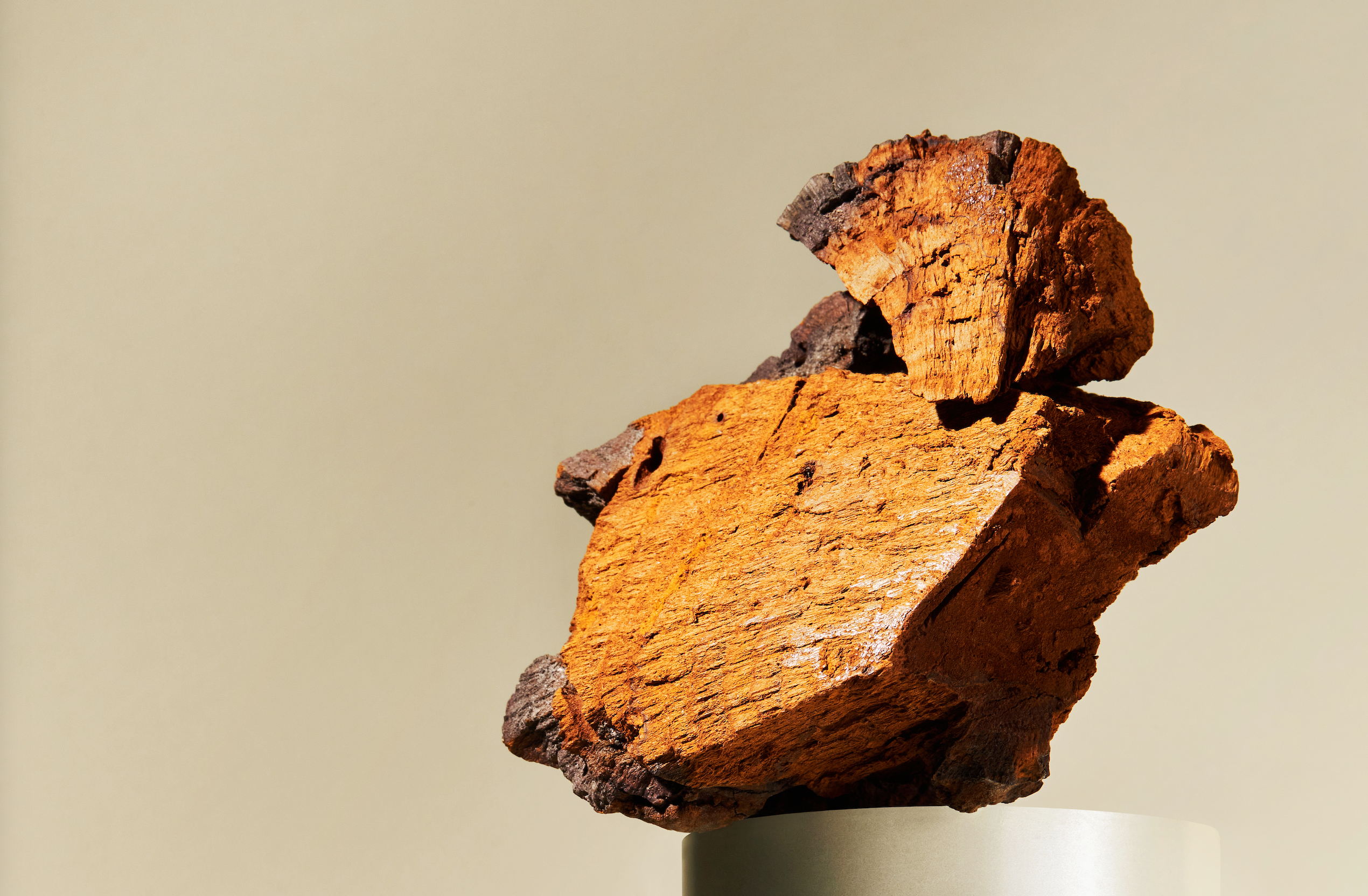 Close-up of a raw Chaga mushroom chunk with a rugged, woody texture, placed on a neutral pedestal against a soft beige background.