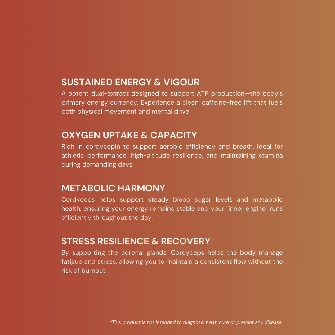 Cordyceps for sustained energy, oxygen uptake, metabolic harmony, and stress resilience.
