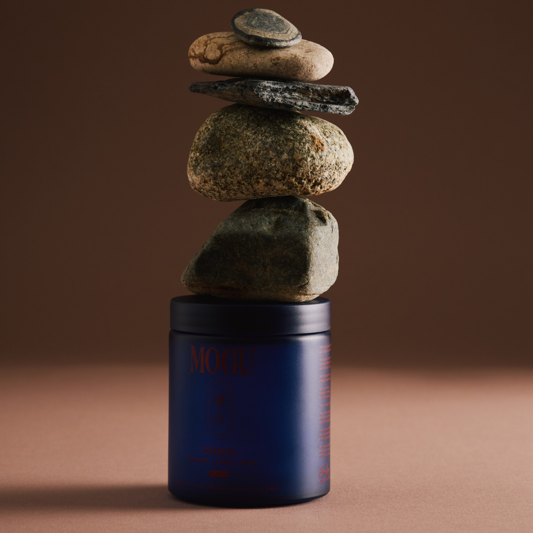 Organic Chaga capsules in a blue container with stacked stones on a brown background