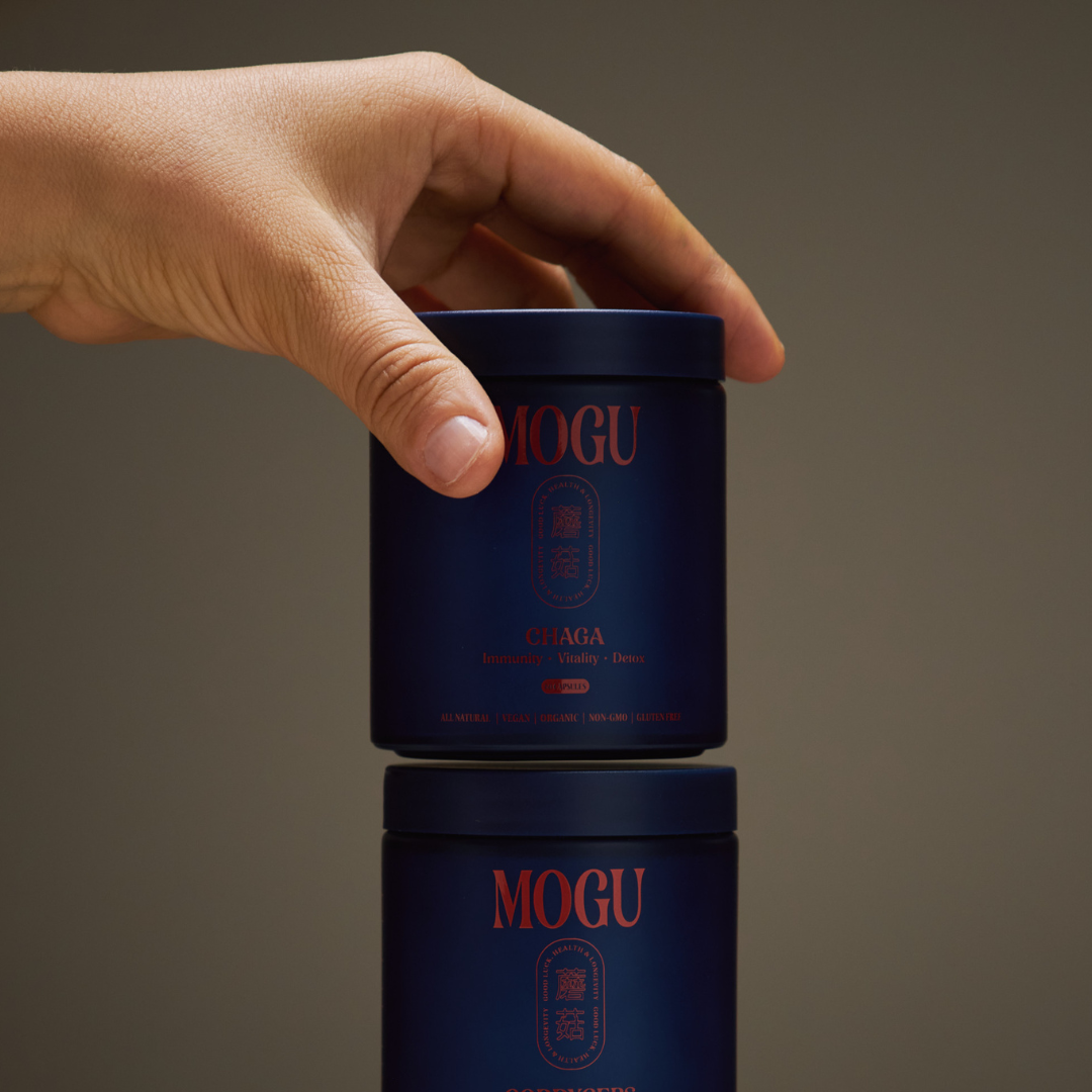 Hand holding MOGU Chaga capsules product with a dark background