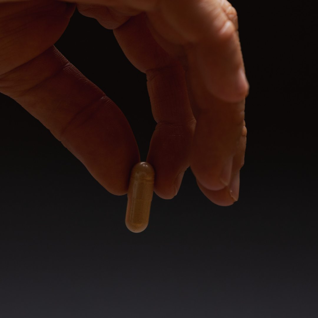 Hand holding a Reishi capsule against a dark background