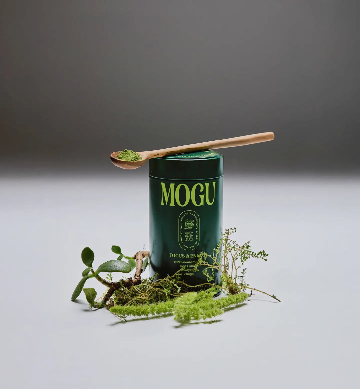 MOGU Matcha canister with wooden spoon and greenery on a gray background