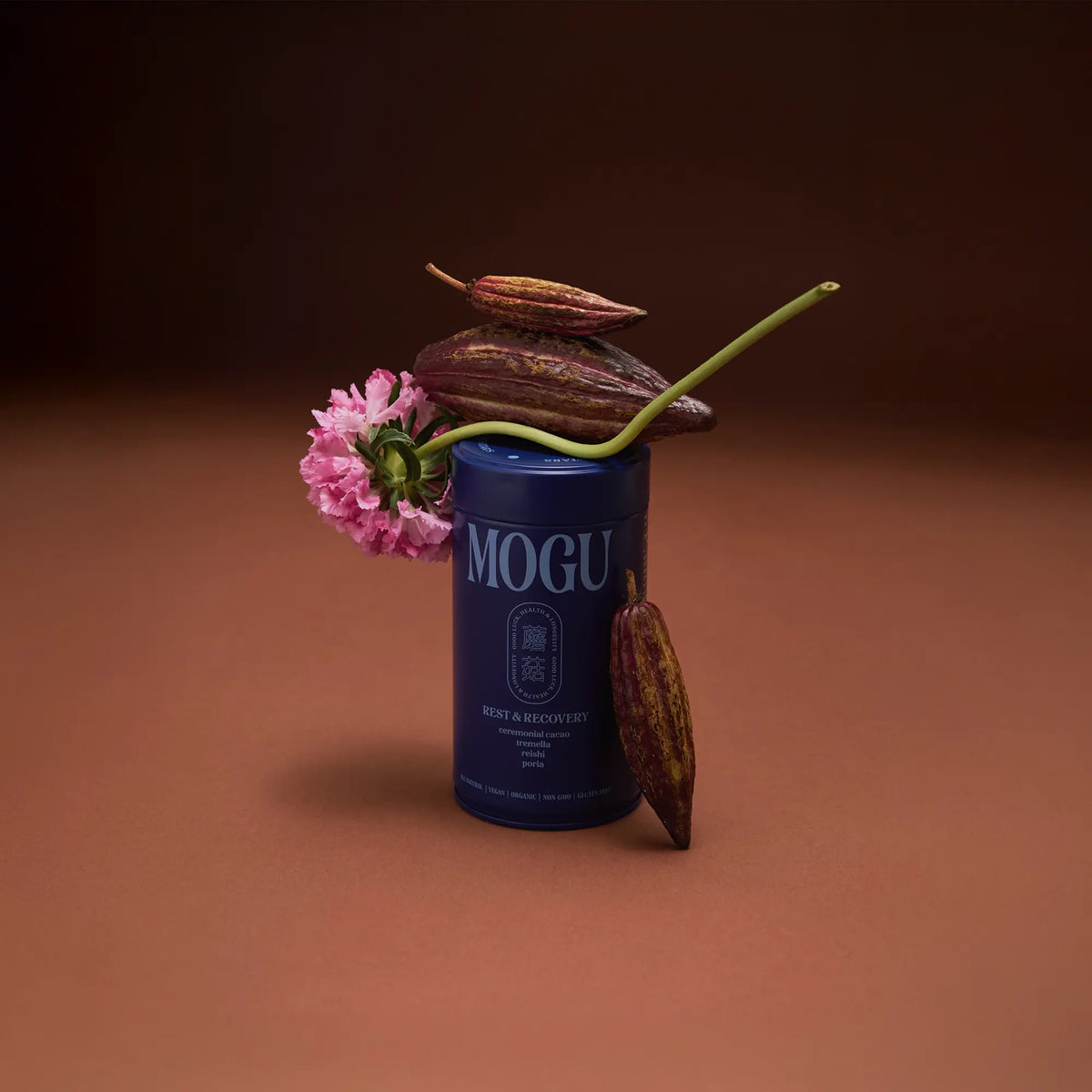 5 Reasons This Cacao Ends The Nightly Alcohol Cycle For Good