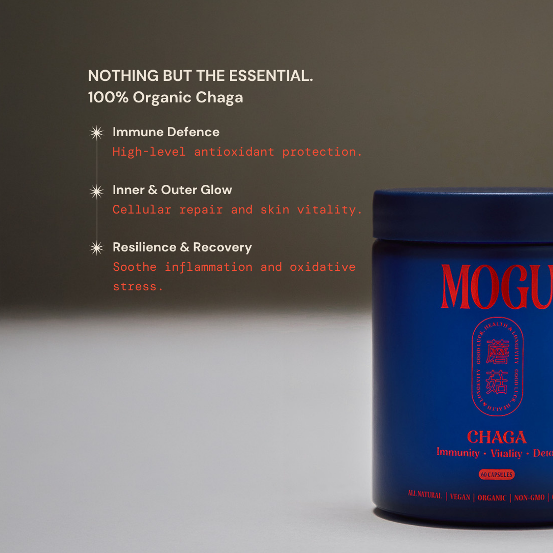 MOGU Chaga capsules blue container with information about chaga benefits for antioxidant boost, immunity, skin, hair, nail benefits.