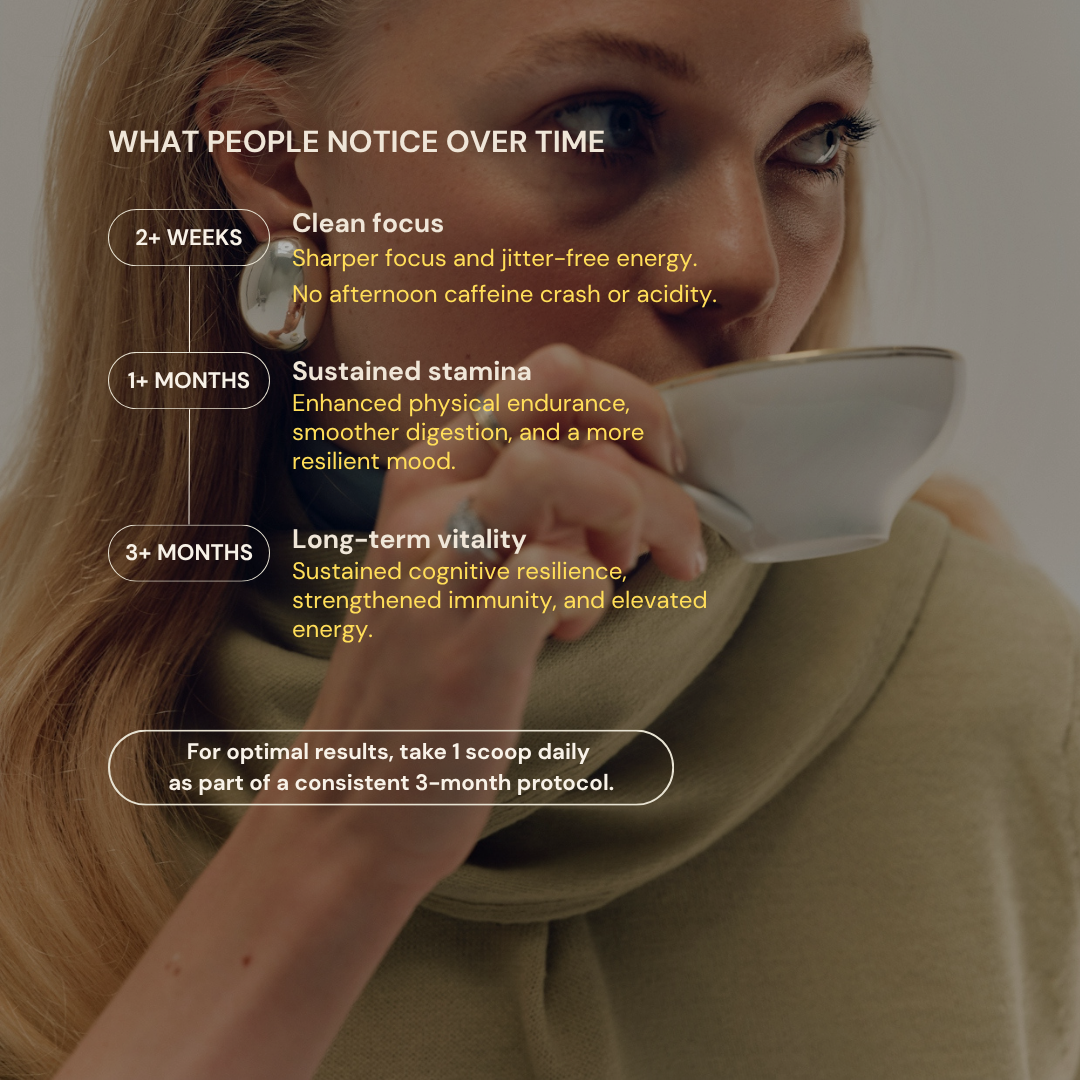 MOGU coffee container with benefits for focus, energy, longer term resilience, immunity and vitality