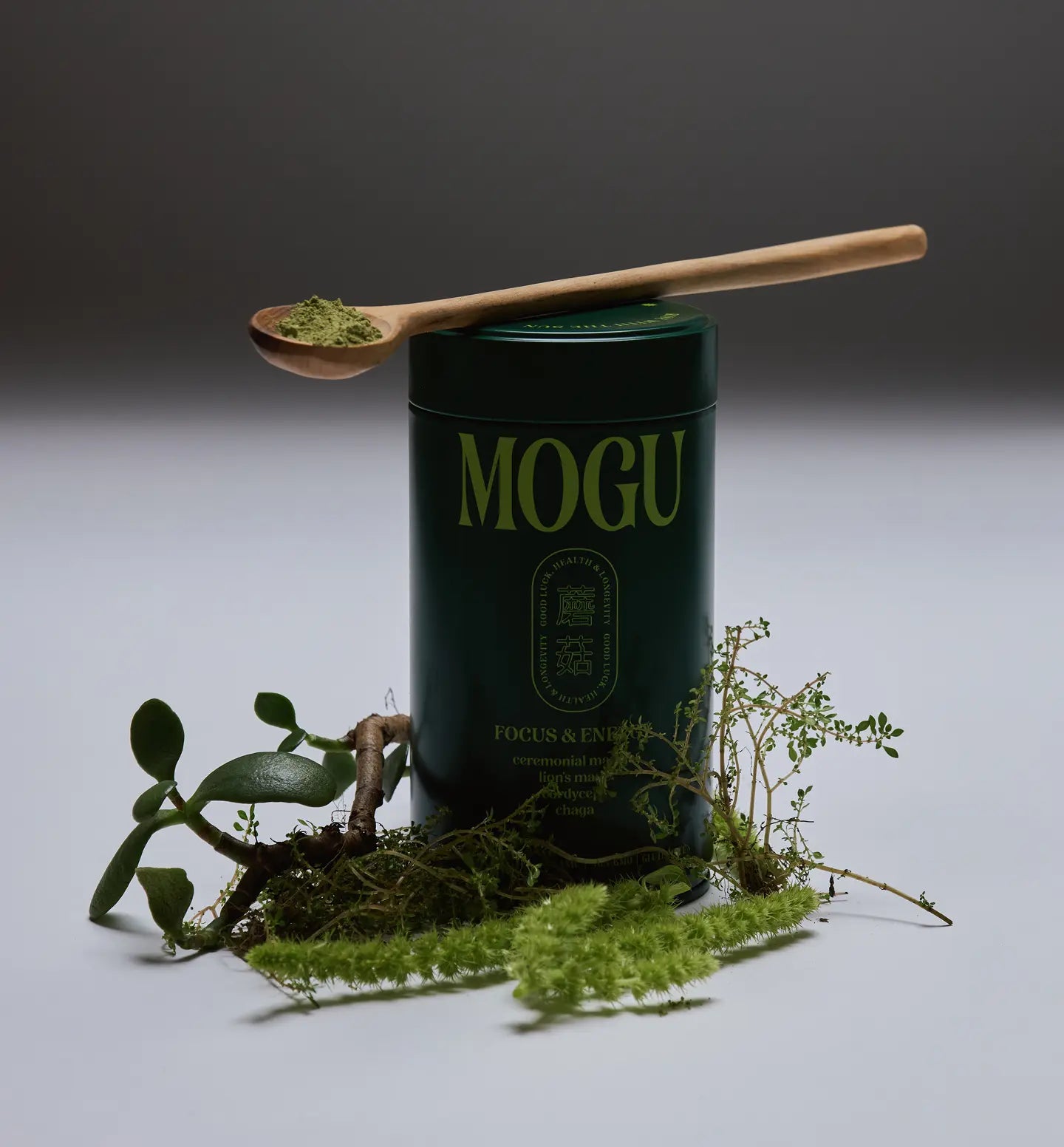 Mushroom Matcha